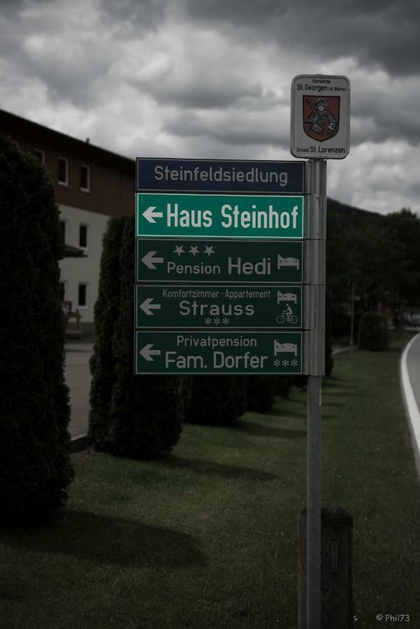 Haus Steinhof Villa Sankt Lorenzen ob Murau Dış mekan fotoğraf