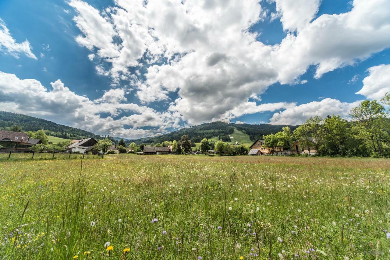 Haus Steinhof Villa Sankt Lorenzen ob Murau Dış mekan fotoğraf